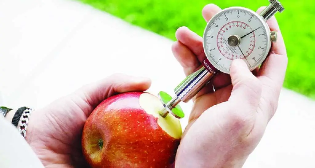Spreco di cibo, il fitofarmaco che allunga la vita dei vegetali