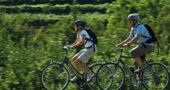 Ciclabili, riparte il servizio di «Bicibus» Ecco le linee servite, le tariffe e gli orari