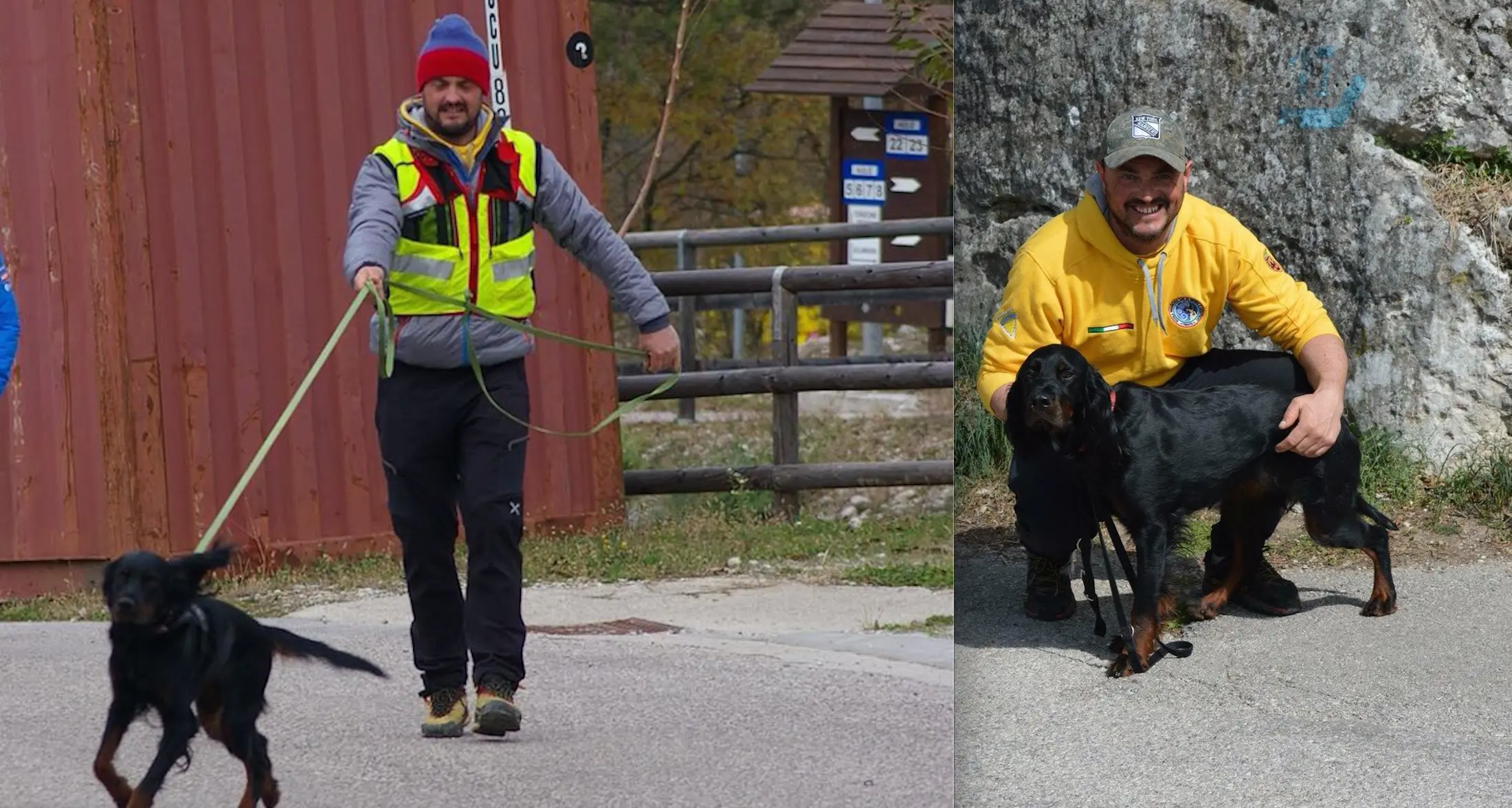 Nelle ricerche della persona dispersa in montagna il ruolo fondamentale di Zara, gordon setter di 3 anni