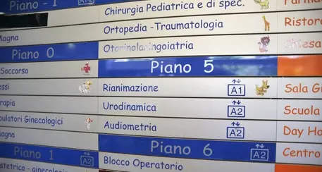 Morto il bimbo malato di otite e curato con l'omeopatia