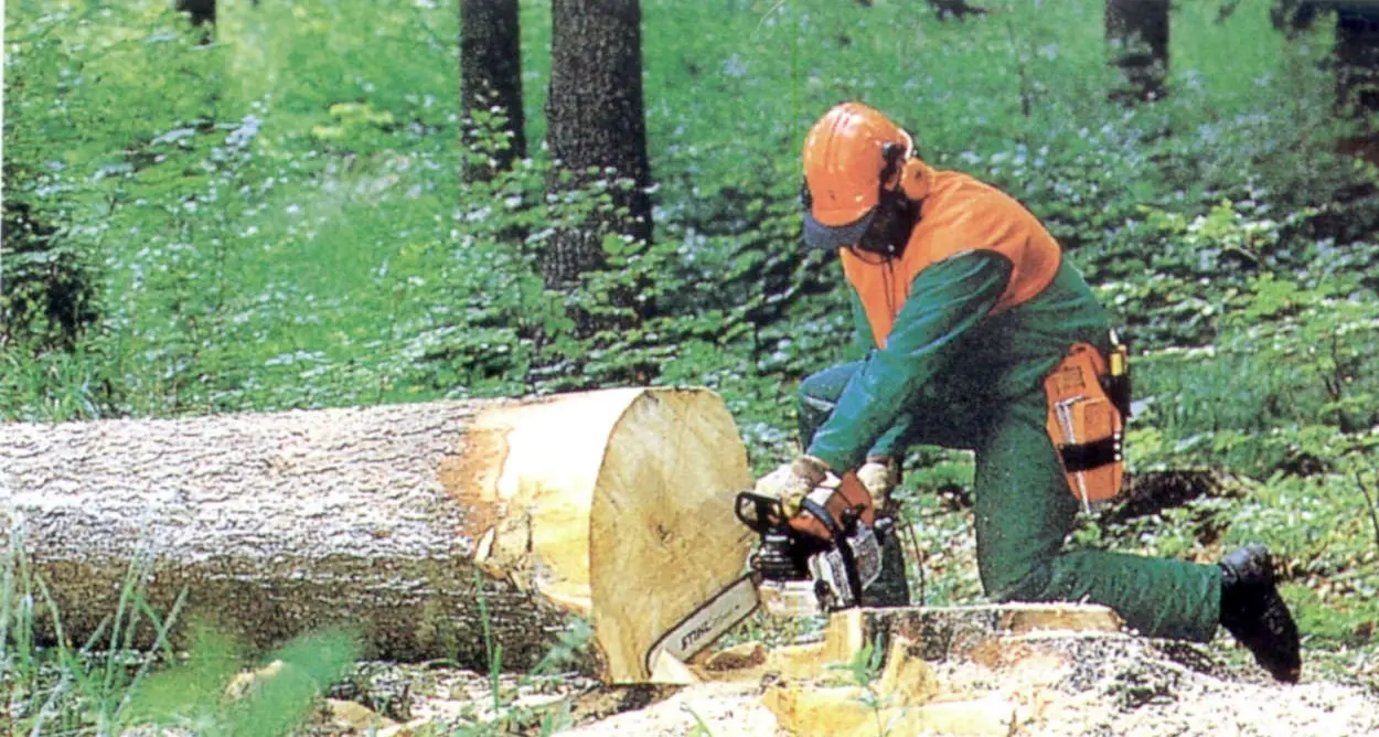 Operai forestali della Magnifica Contratto e 3 assunzioni