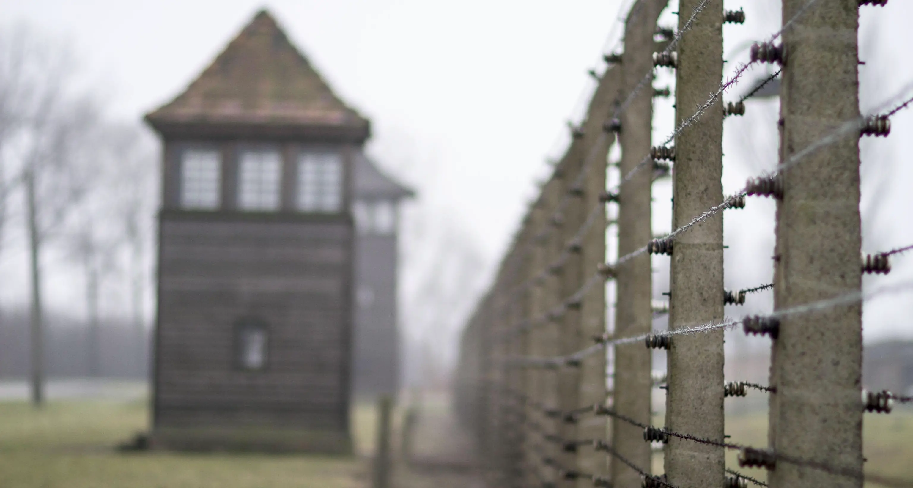 Shoah, un viaggio della memoria anche per adulti: via a novembre