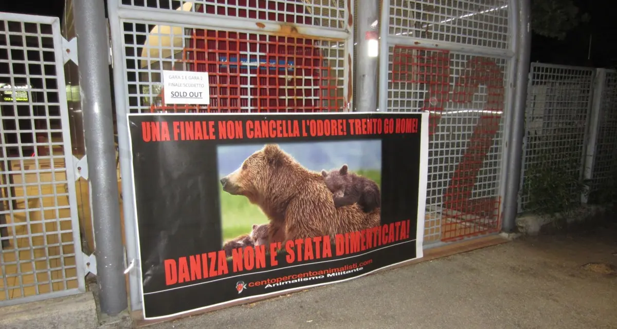 Basket, il «blitz animalista» Daniza tiferebbe per Venezia