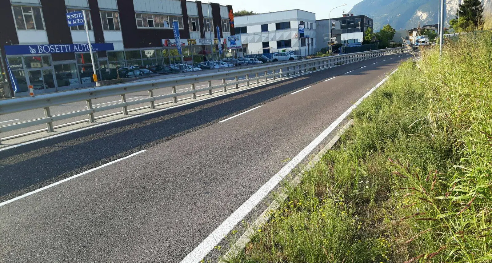 Il marciapiede tra Lavis e Trento? Invaso da una selva di erbacce