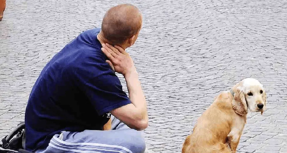 Assegno unico, 40.000 beneficiari Le domande dal 10 ottobre