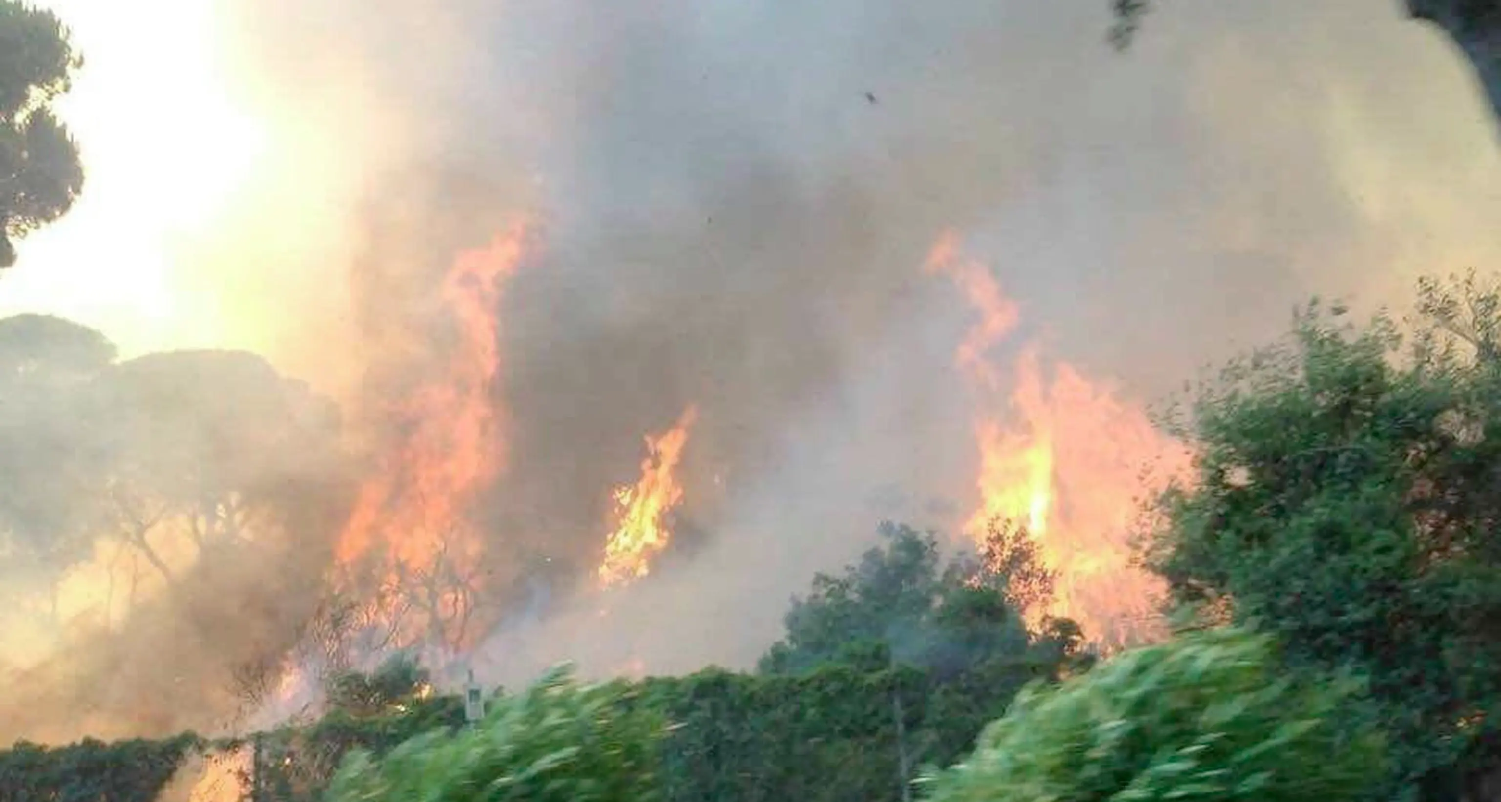 Emergenza incendi, la Lipu «Rinviare la stagione di caccia»