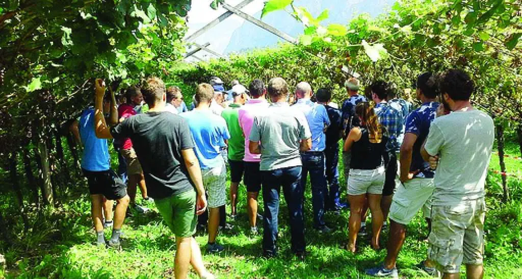 Oltre 200 coltivatori alla giornata sulla viticoltura bio a San Michele