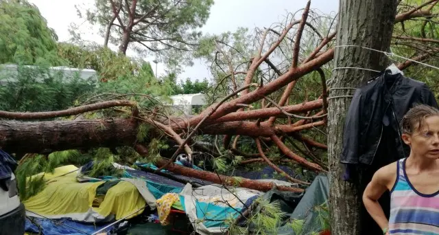 Tromba d'aria in campeggio: l'albero cade sulla tenda