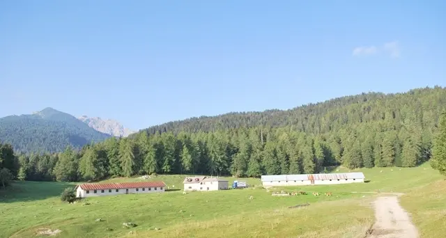 La strada da Cunevo a malga d'Arza sarà asfaltata e sistemata
