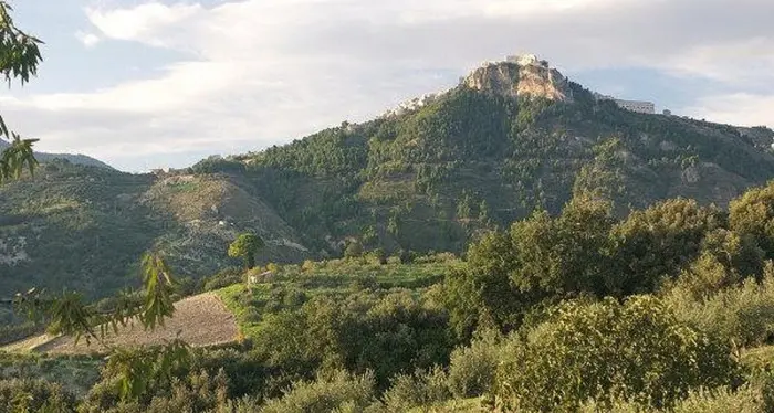 Scoperto il vino italiano più antico, ha quasi 6.000 anni