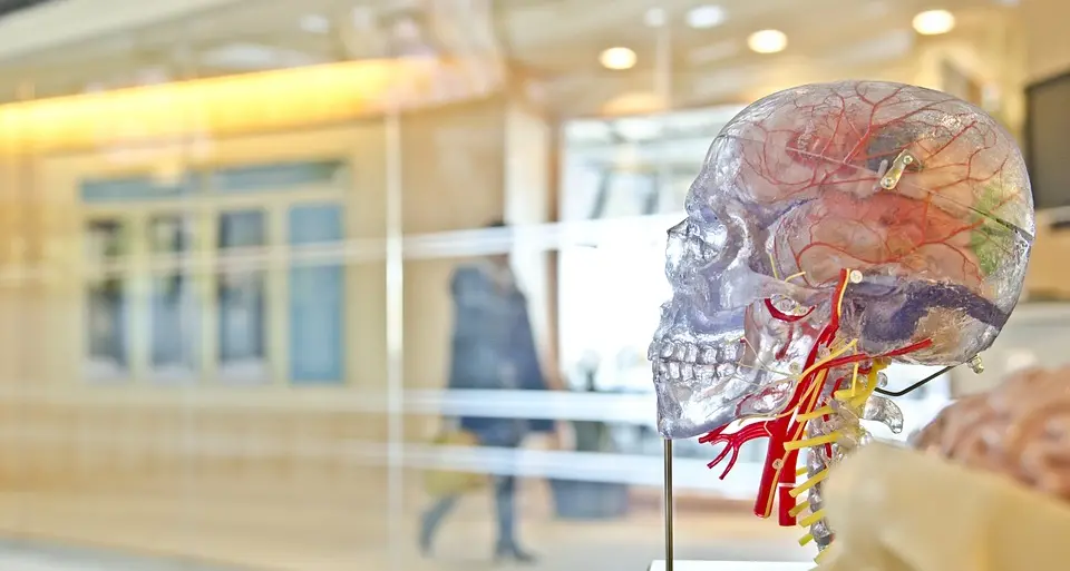 Giometto guida Neurologia all'ospedale Santa Chiara