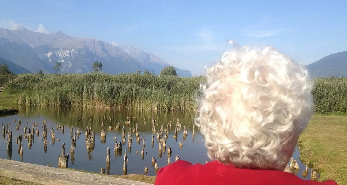 Il progetto trentino «T-Essere Memoria» alla prima edizione dell'«Alzheimer fest»