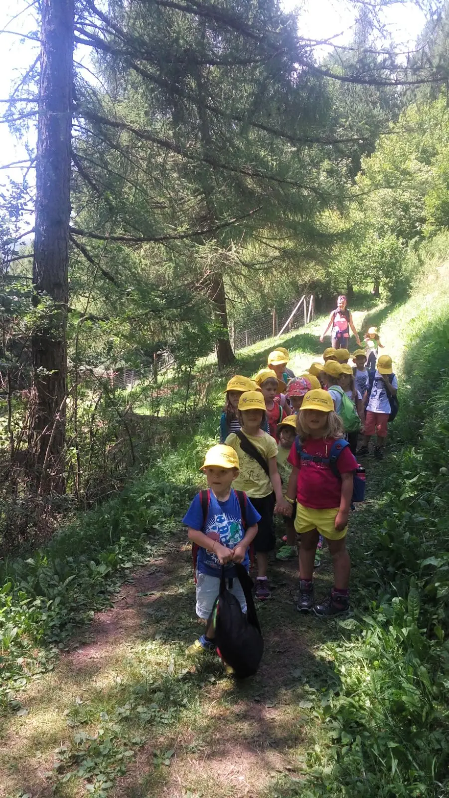 Val di Fiemme, Estate Baby per duecento