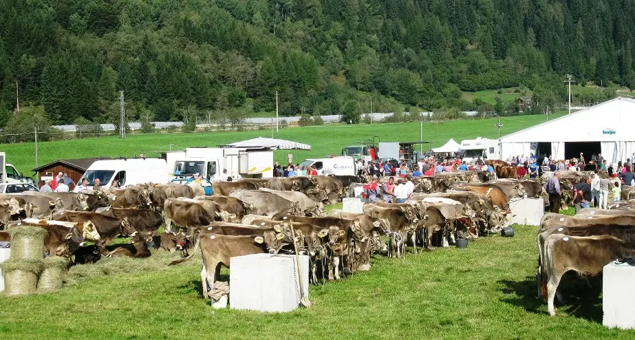 Festival del formaggio al gran finale
