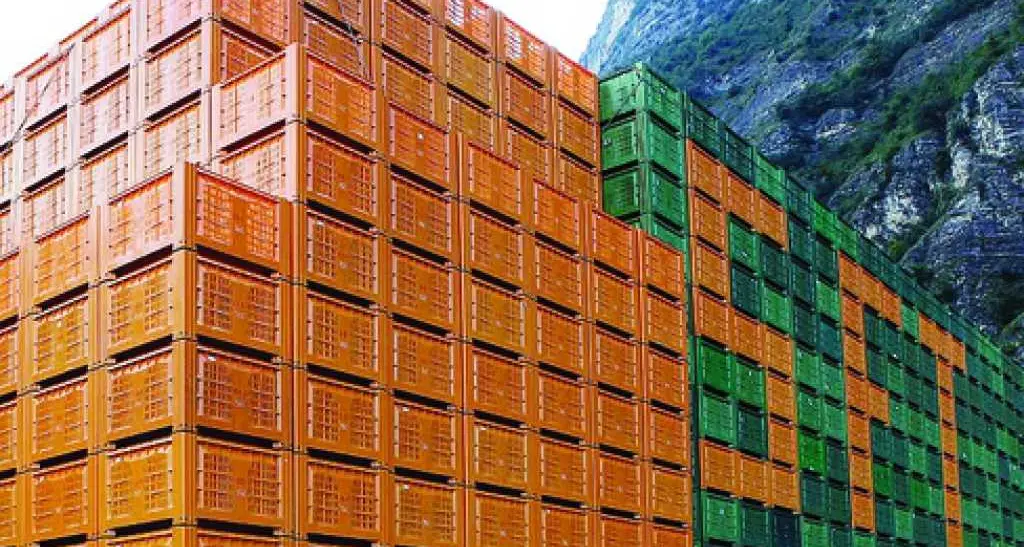 Analisi del mercato delle mele: vendite vivaci, poche giacenze le prospettive sono molto buone