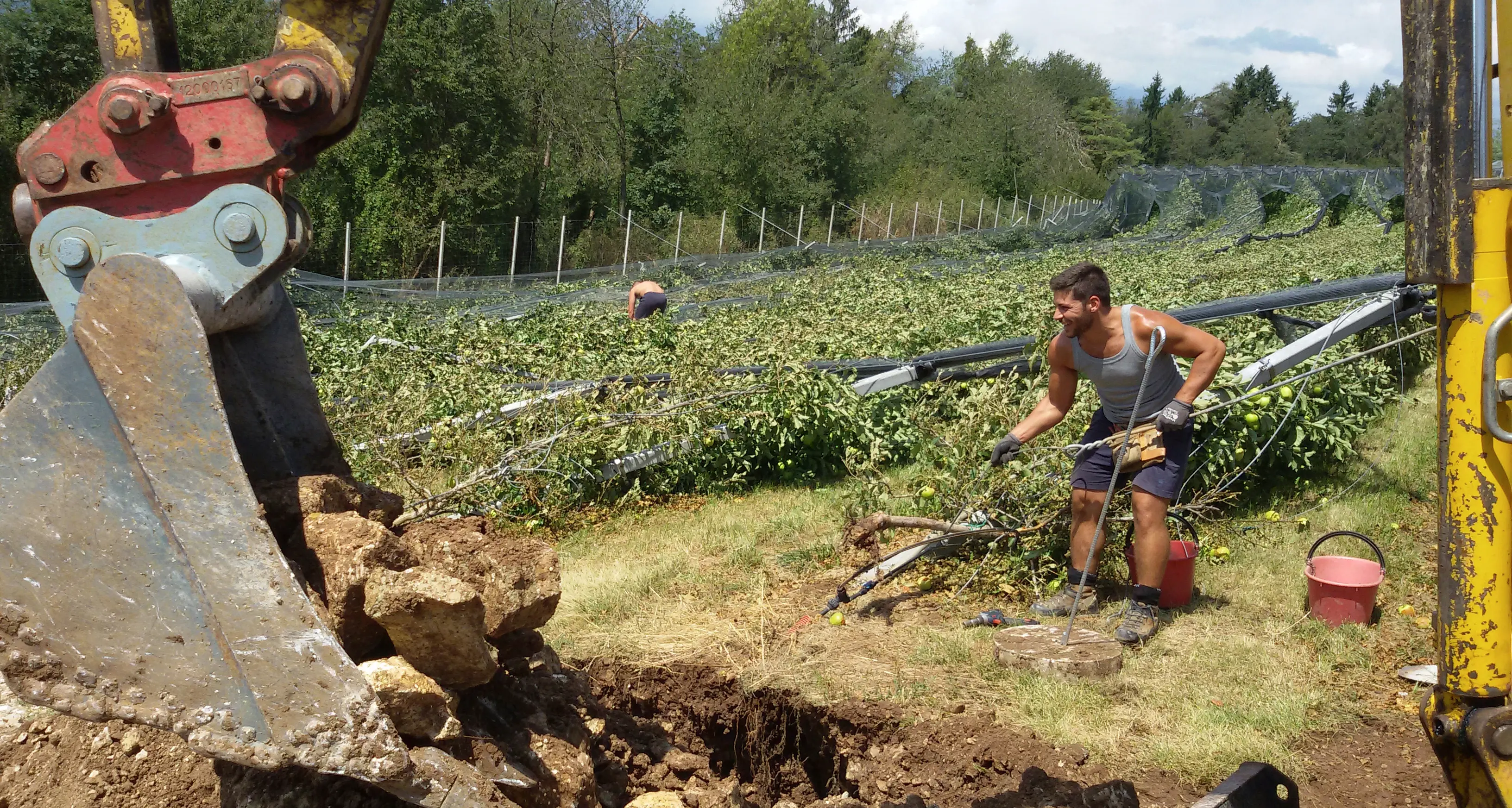 Danni all'agricoltura: arrivano 7,5 milioni Scattano i rimborsi dell'ente pubblico