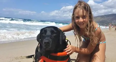 Il cane bagnino salva una bambina in mare