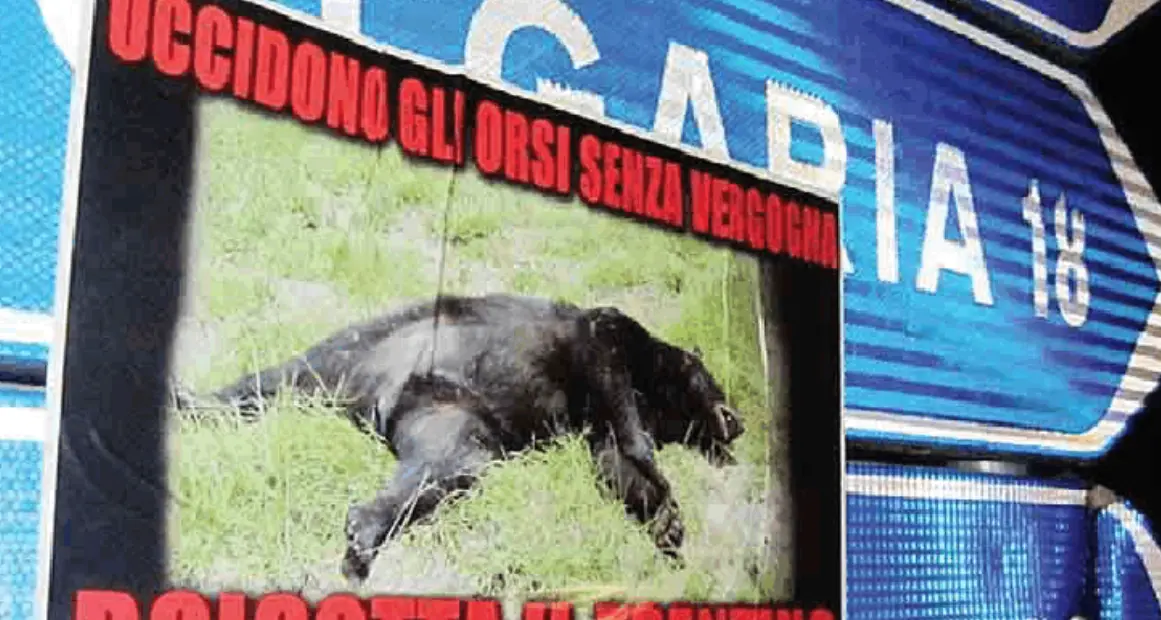 «Nessun riscontro concreto né vacanze disdette per KJ2»