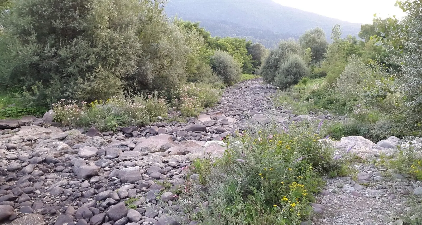 Fersina: il mistero dell'acqua che di giorno sparisce