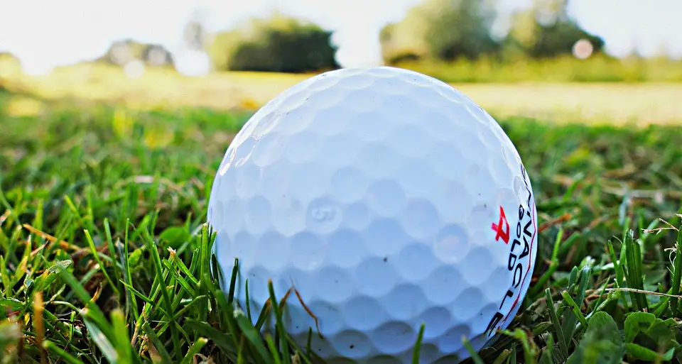 Pedrotti e i danni del golf alle Viote: è l'ultima zona di praterie
