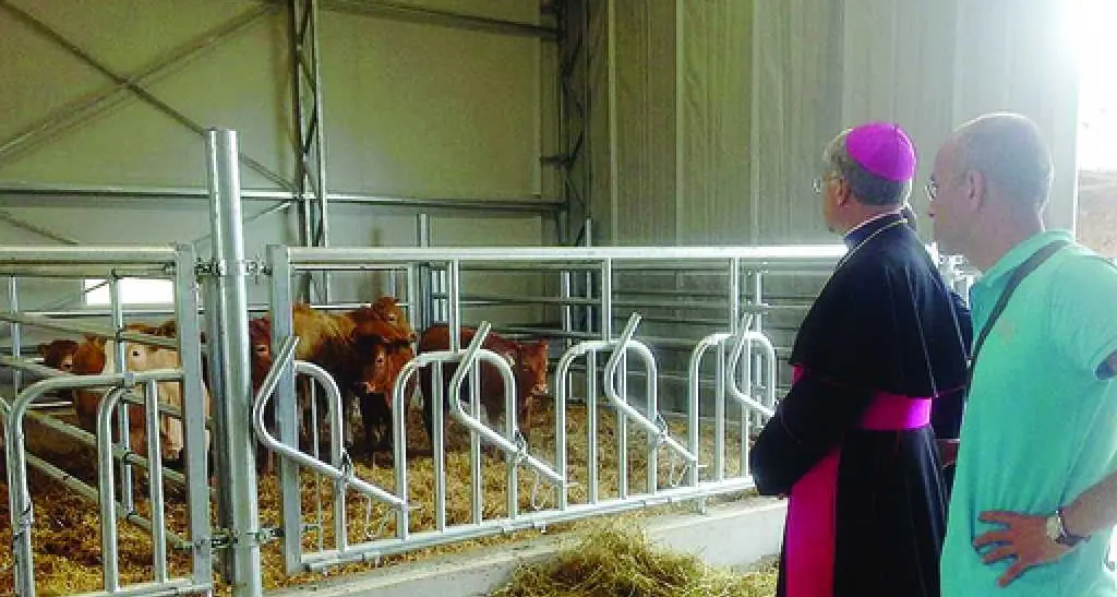 Caritas del Trentino, mezzo milione per aiutare i terremotati di Norcia