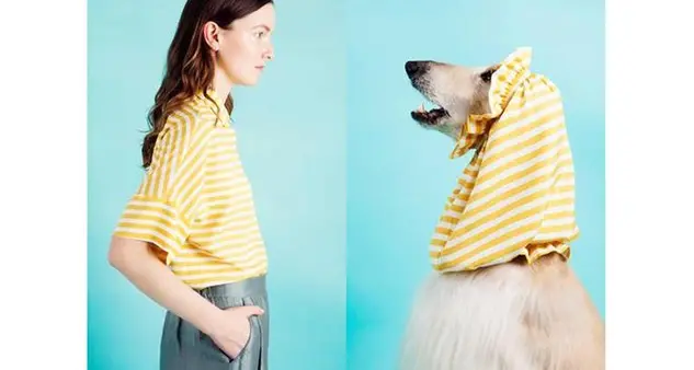 Arriva la moda su misura anche per i cani