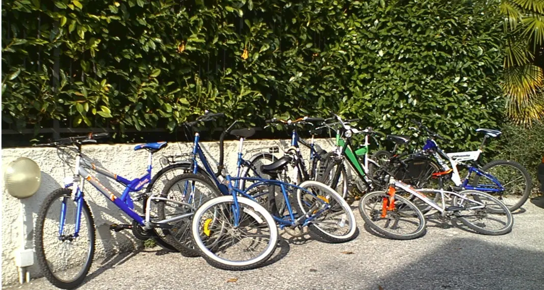 La banda delle bici a Mori: rubate anche a Denis Bertolini
