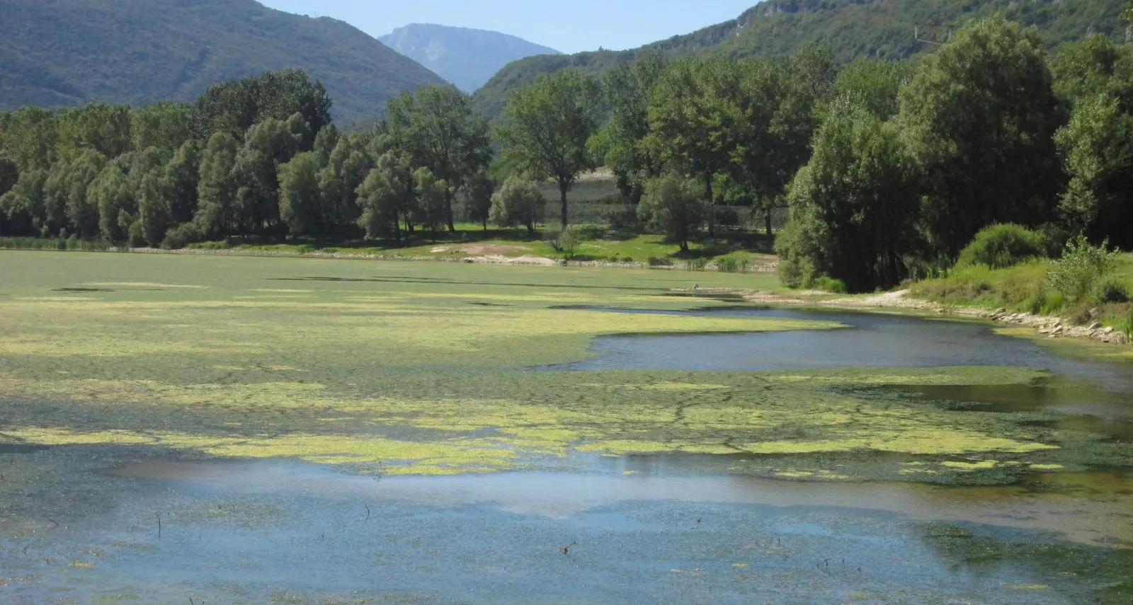 Teli di juta nel lago di Terlago per contrastare le alghe
