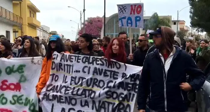 Il gasdotto Tap e gli ulivi Tar: «Stop all'espianto»