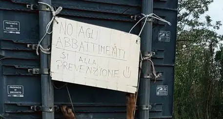 Lupo ucciso e scuoiato appeso cartello