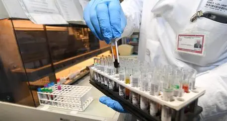 Dall'Università di Trento lo studio: \"Ecco la proteina che attiva la distruzione di cellule tumorali\"