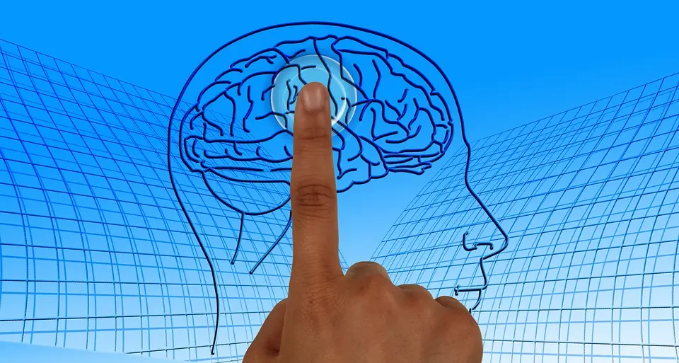 Fare esercizi di memoria migliora le facoltà nel cervello anziano