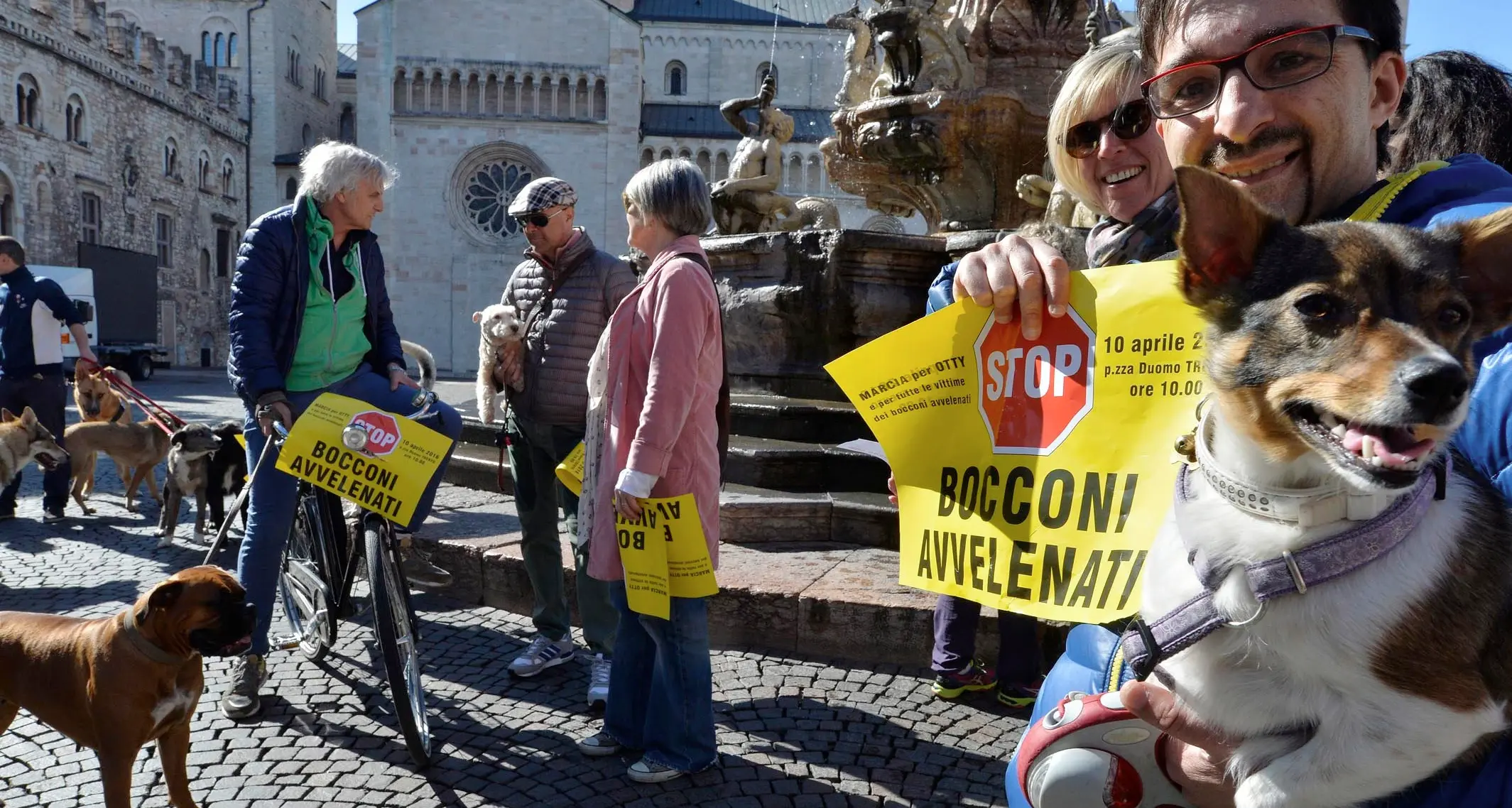 Lavis, allarme bocconi avvelenati monitoraggio su parchi e passeggiate