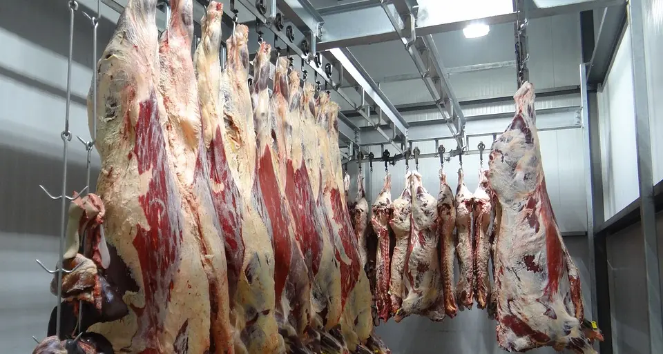 Scuola, mense senza carne «Complimenti al Comune»