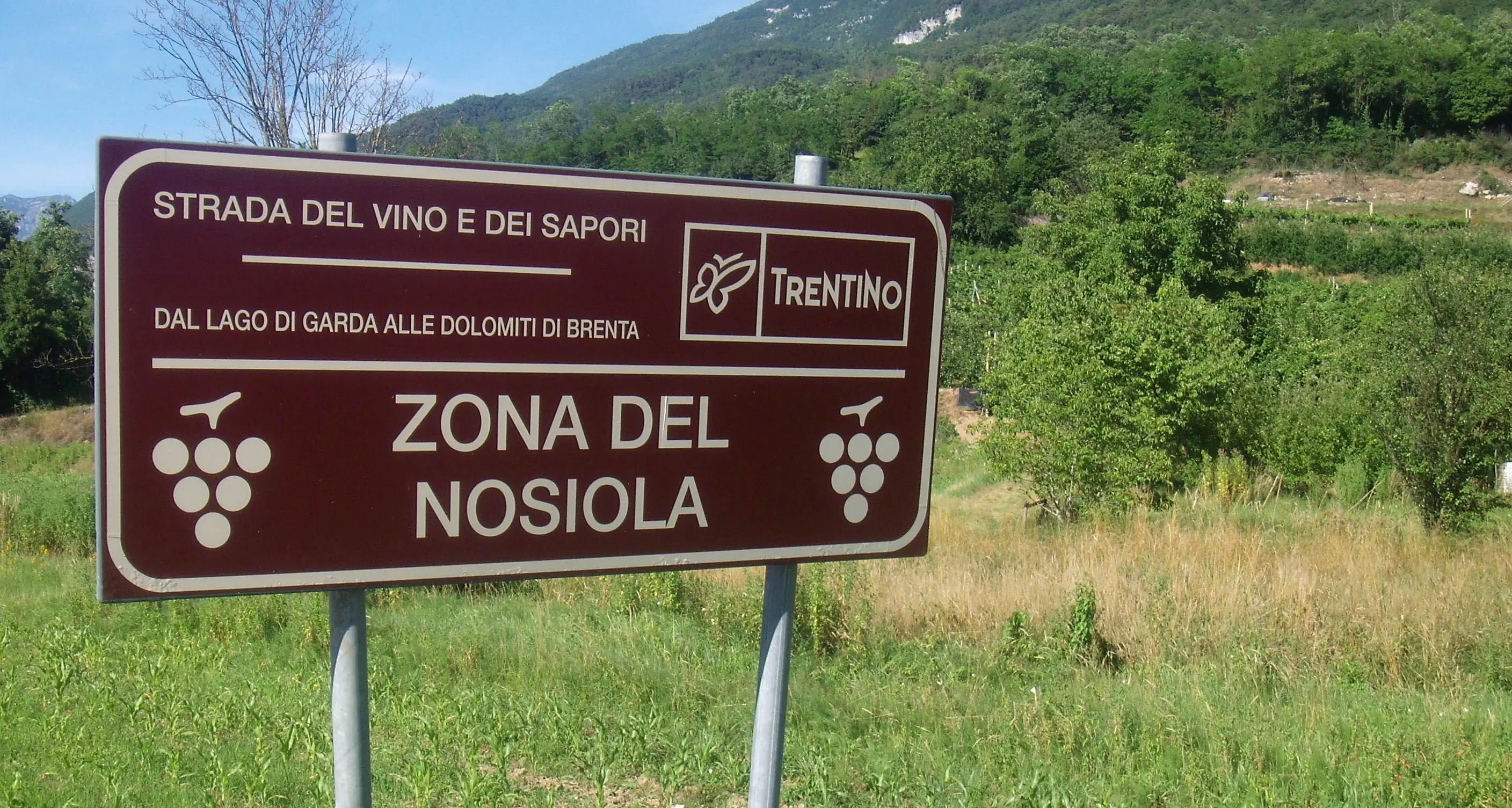 DiVinNosiola, svelato il programma degli eventi dal 30 marzo al 25 aprile