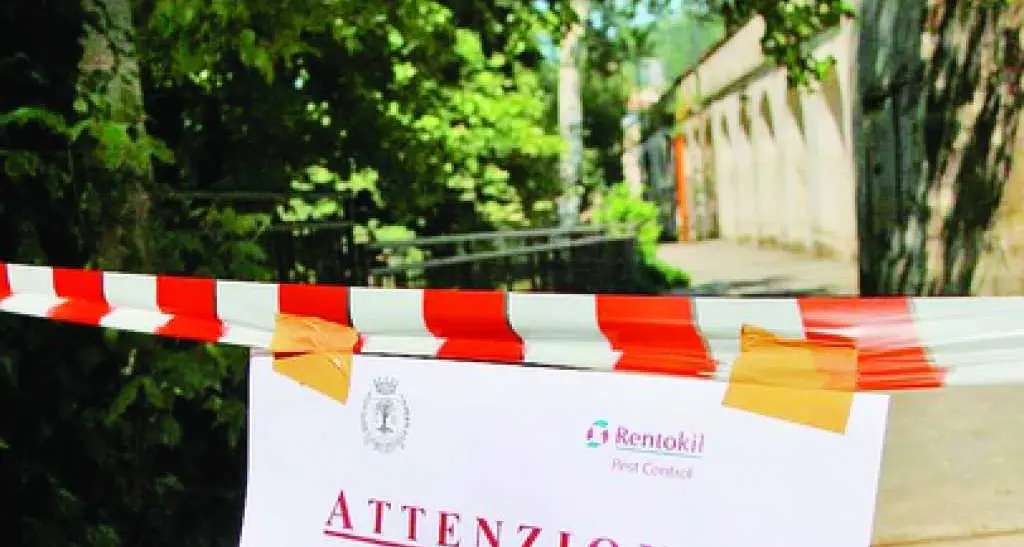 Guerra alla zanzara tigre pronta la nuova campagna
