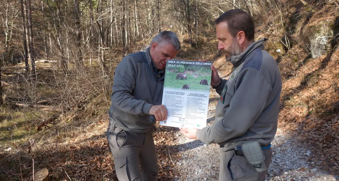 Stop letargo, l'orso si risveglia Ecco le regole di «convivenza»