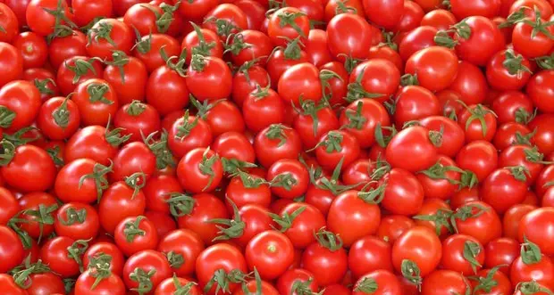 Pomodoro salva-cuore, migliora pressione e riduce colesterolo