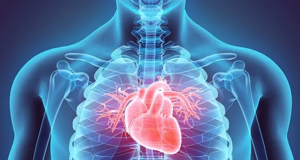 Uno spray per riparare il cuore dopo un infarto