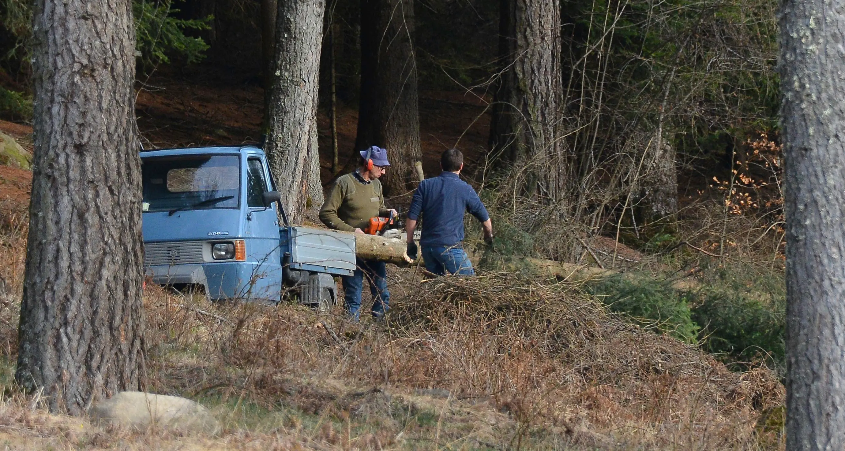 Tragico incidente in bosco Trovato morto a Miola