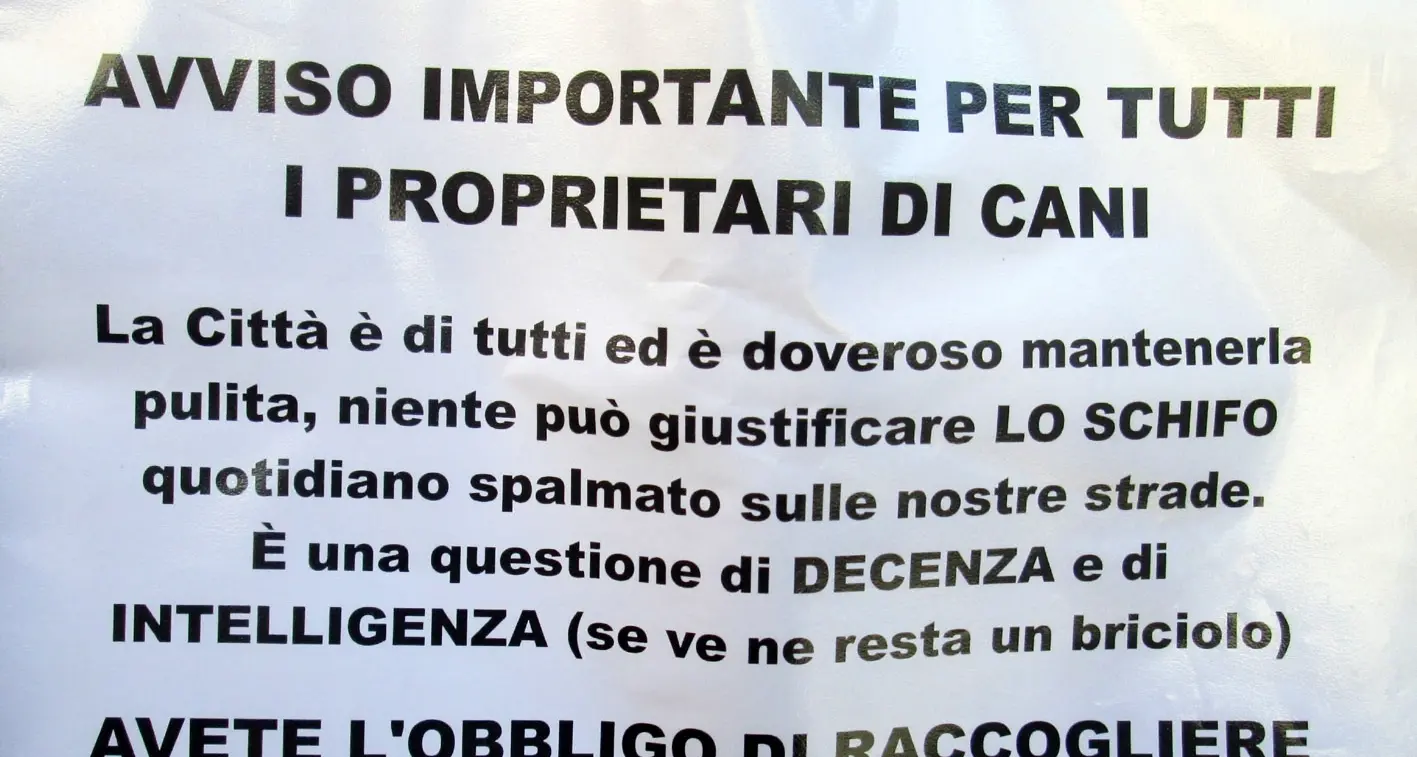 Strada disseminata di cacche Ecco i cartelli per i padroni
