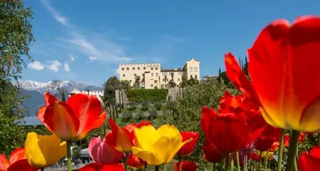 Sabato prossimo riaprono i Giardini Trauttmansdorff