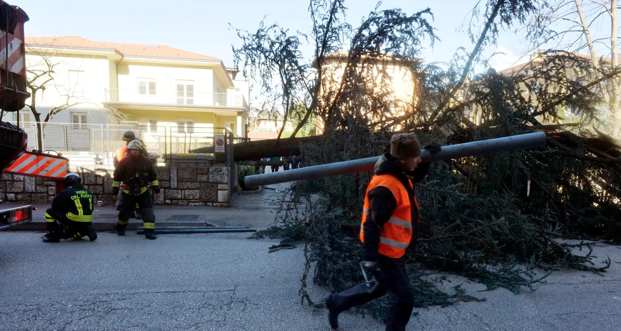 Travolto dall'albero caduto Più soldi alla Pat che a lui