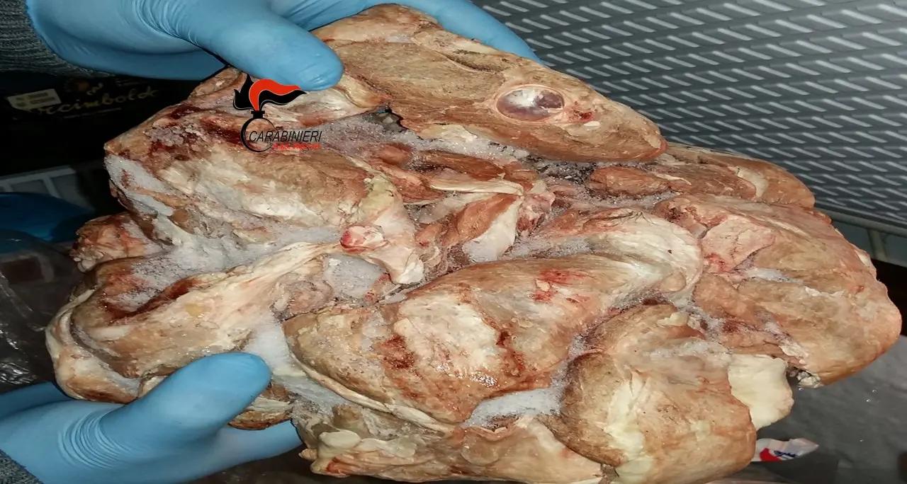 Sequestrati 100 kg di alimenti avariati I Nas in un ristorante della Paganella