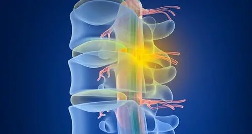 Riparare il midollo spinale Ricerca, Trento nel progetto