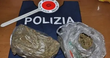 Antidroga: 250 arresti A Trento 7 in manette