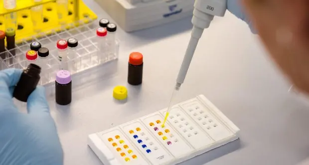Tumori al pancreas Il perché dell'aggressività