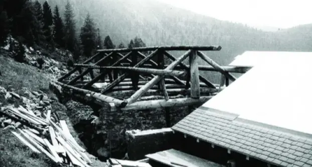 «Io, amico di Giovanni Tonini e i muli per andare al rifugio»