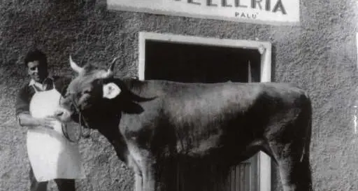 La macelleria Palù, storia di Torcegno