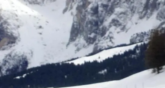 Il premier Gentiloni in ferie fa fondo sull'Alpe di Siusi